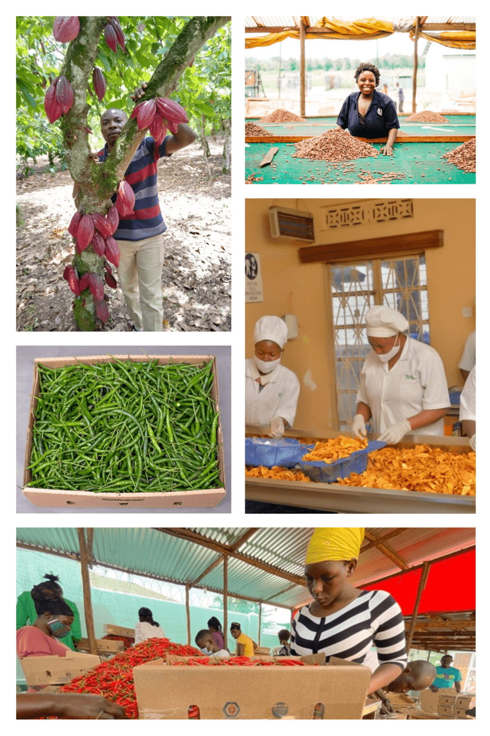 mazanine_fund_1000x1500 (1)