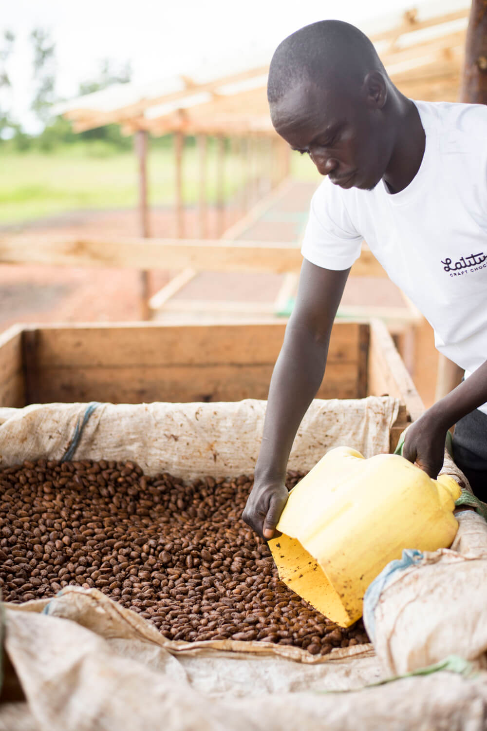 Cocoa_Fermenting_Boxes